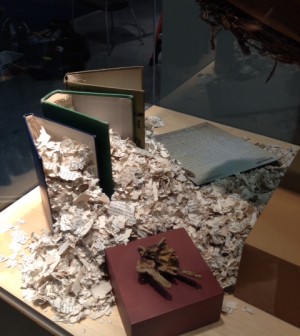 Detail of Ruth Stanford's installation.