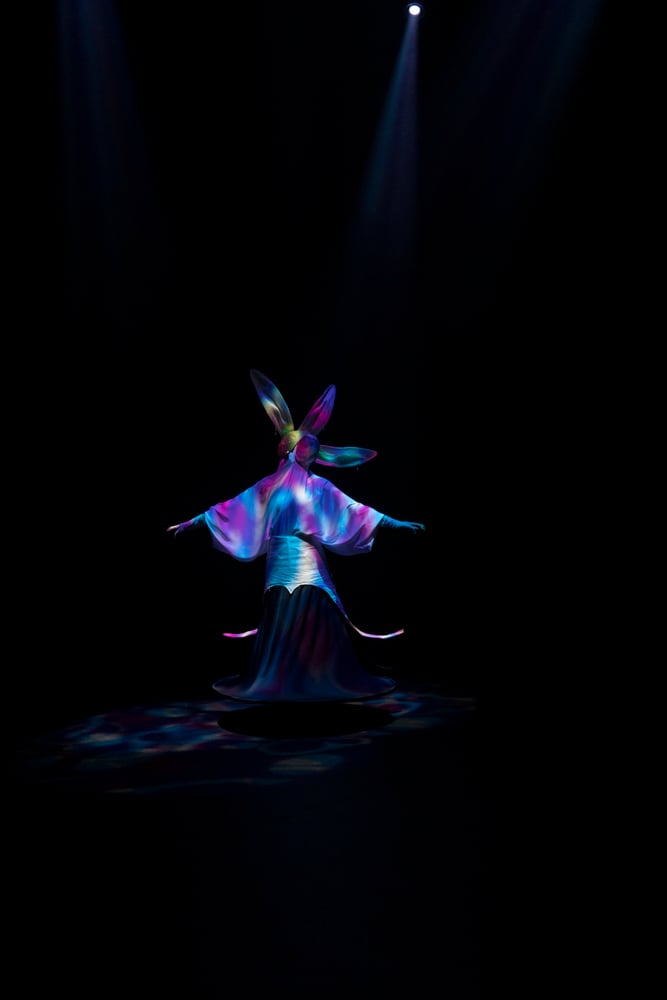 a dancer dressed as a orchid flower underneath colored light on a dark stage.