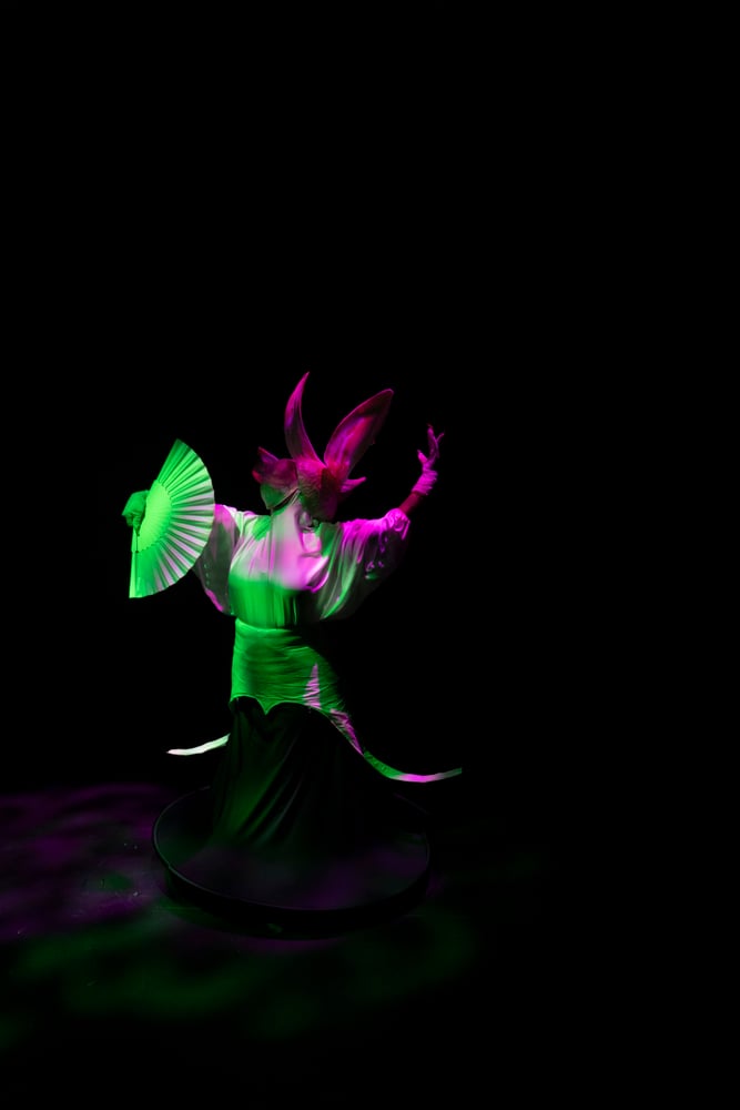 a dancer dressed as a orchid flower underneath colored light on a dark stage.