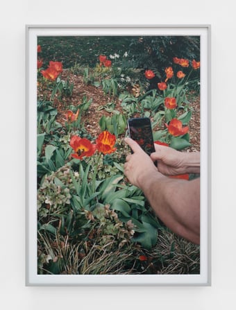 A Landscaped Longed For: The Garden as Disturbance at the Crisp-Ellert Art Museum, St. Augustine