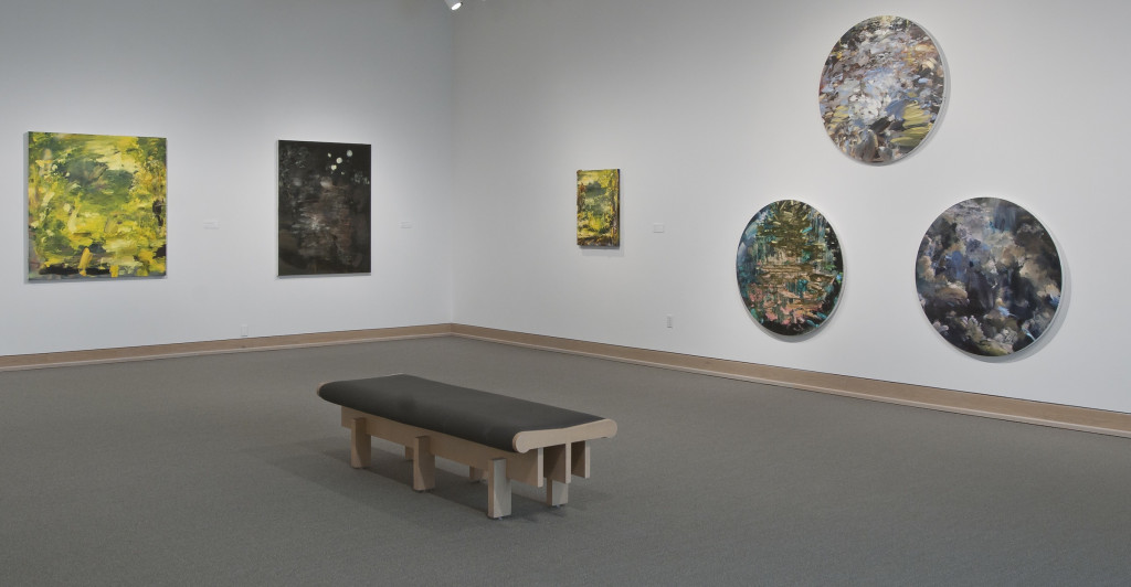 Installation view of Annie Lapin's exhibition at the Weatherspoon Art Museum.