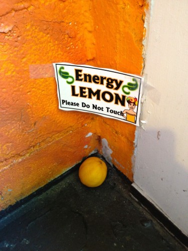 energy-lemon-shara-hughes-375x500