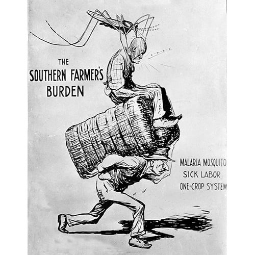 United States Public Health Service, Southern Farmer’s Burden cartoon, 1923. Courtesy National Archives and Records Administration, College Park, MD.