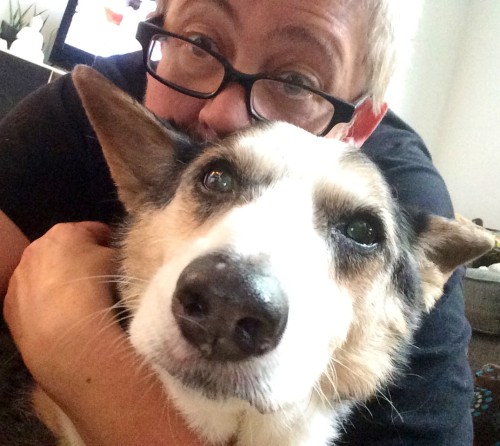 Ruth Stanford hugs Jive during his recovery from an ibuprofen overdose.