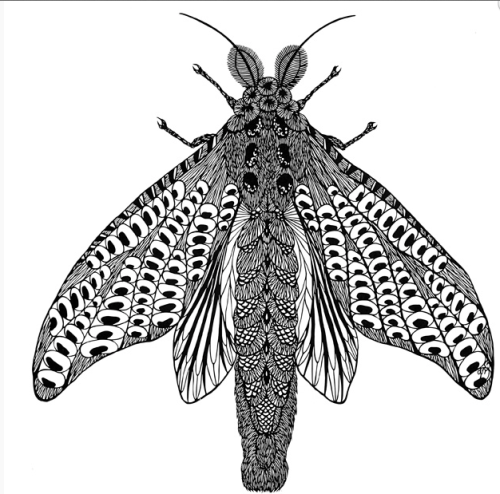 Hiromi Moneyhun, Moth #3, cut paper, 17 by 20 inches. 