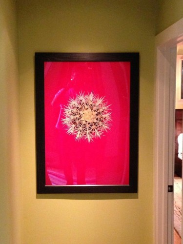 Andres Serrano, Cactus Blood, 2001; Cibachrome, limited edition print, 45 by 32.5 inches. 