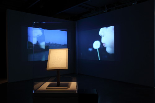 John Q (Wesley Chenault, Andy Ditzler, and Joey Orr) Take Me With You 2014; two-channel video installation (2 minutes 36 seconds) with artifact replica.