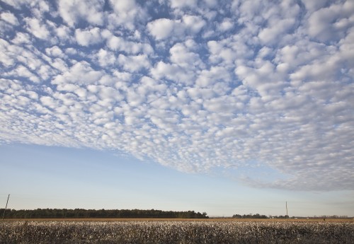 Lucinda Bunnen, Cotton Ball Sky.