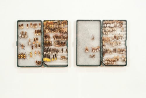 Romantische Naturphilosophie: Hoppers & X-Wing Dry, 2011. Jason Merrill Benedict. American, born 1977, based in Berlin. Hand tied fly fishing hooks, plastic cases, box frame.
