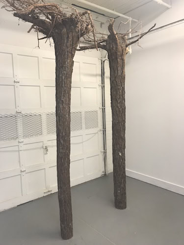 Installation shot from Trevor Reese's “And yet.* / the squid and the whale,” at Day & Night Projects through February 17.