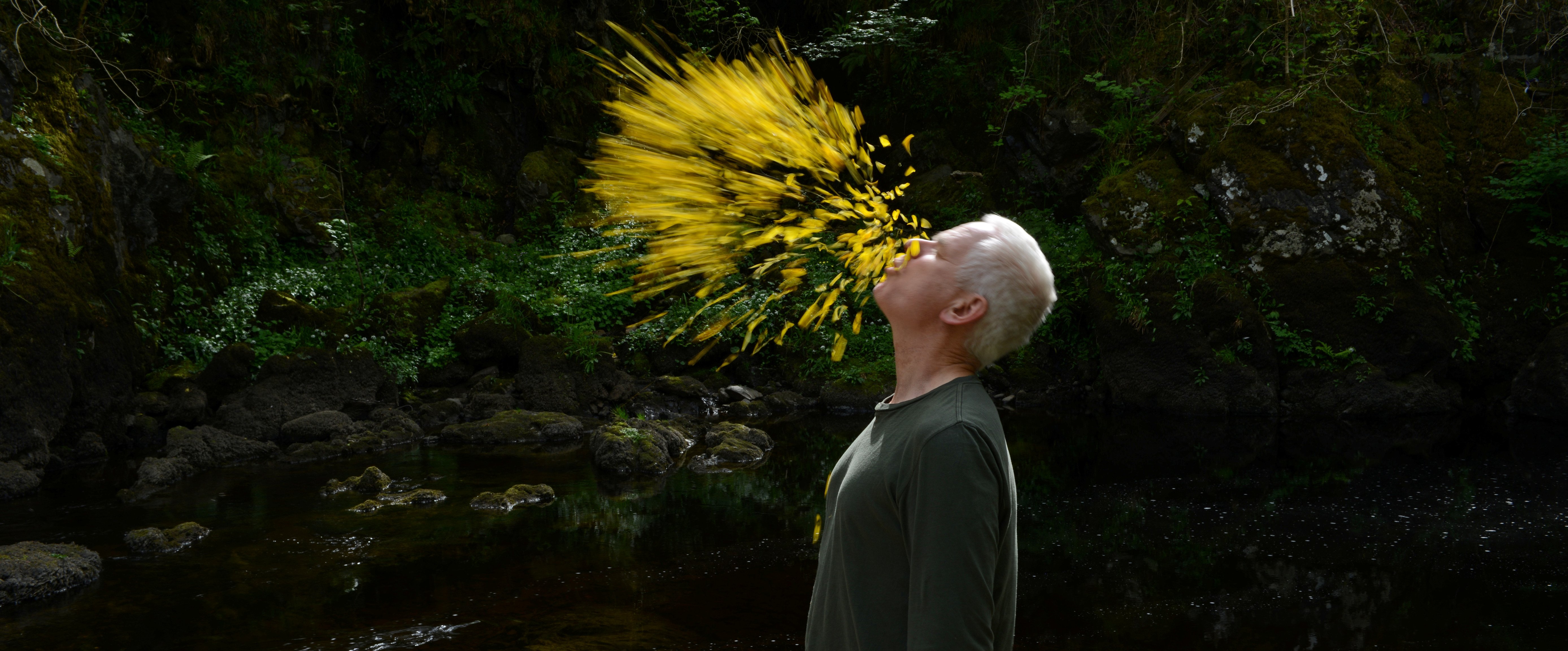 Andy Goldsworthy in Leaning Into the WInd
