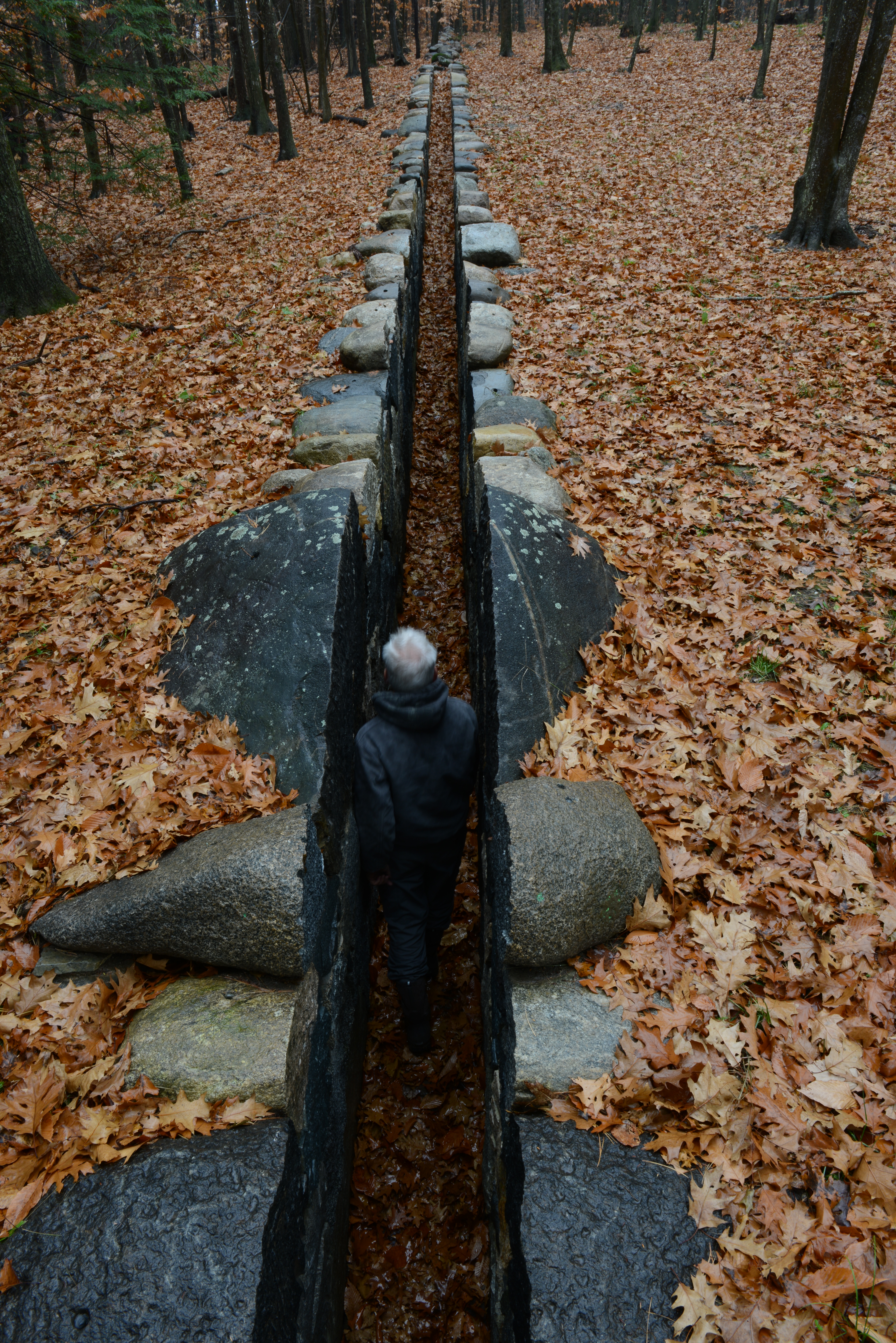 Andy Goldsworthy in Leaning Into the WInd