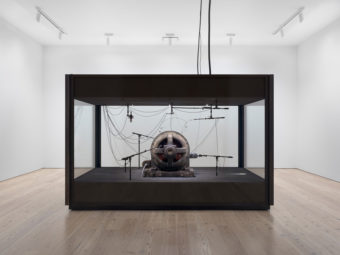 An Historical Instrument: Kevin Beasley at the Whitney, New York