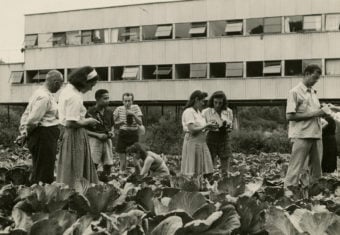 A Very Unusual School: Bauhaus, Black Mountain College, and Today