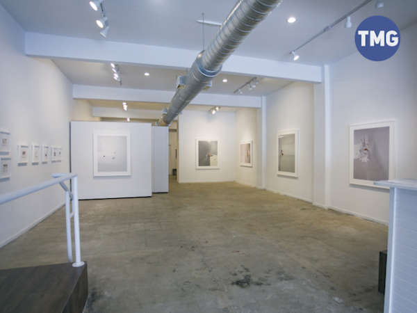 Tracey Morgan Gallery