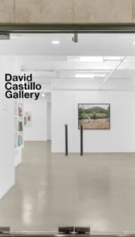 David Castillo Gallery