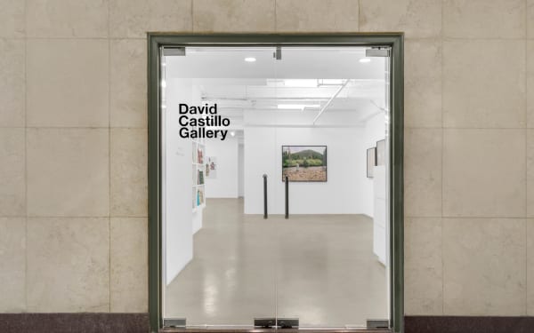David Castillo Gallery