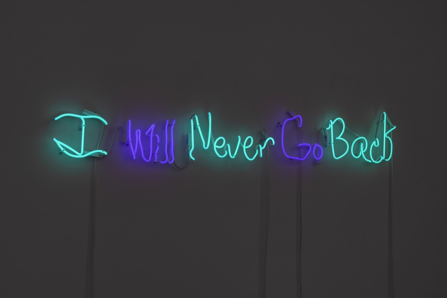 neon sign that reads I will never go back