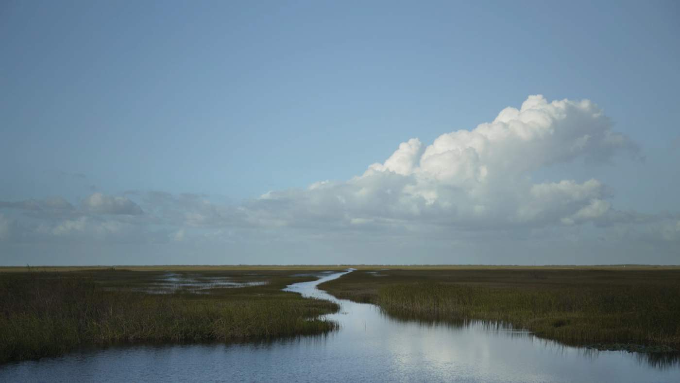 a river flowing through grass 