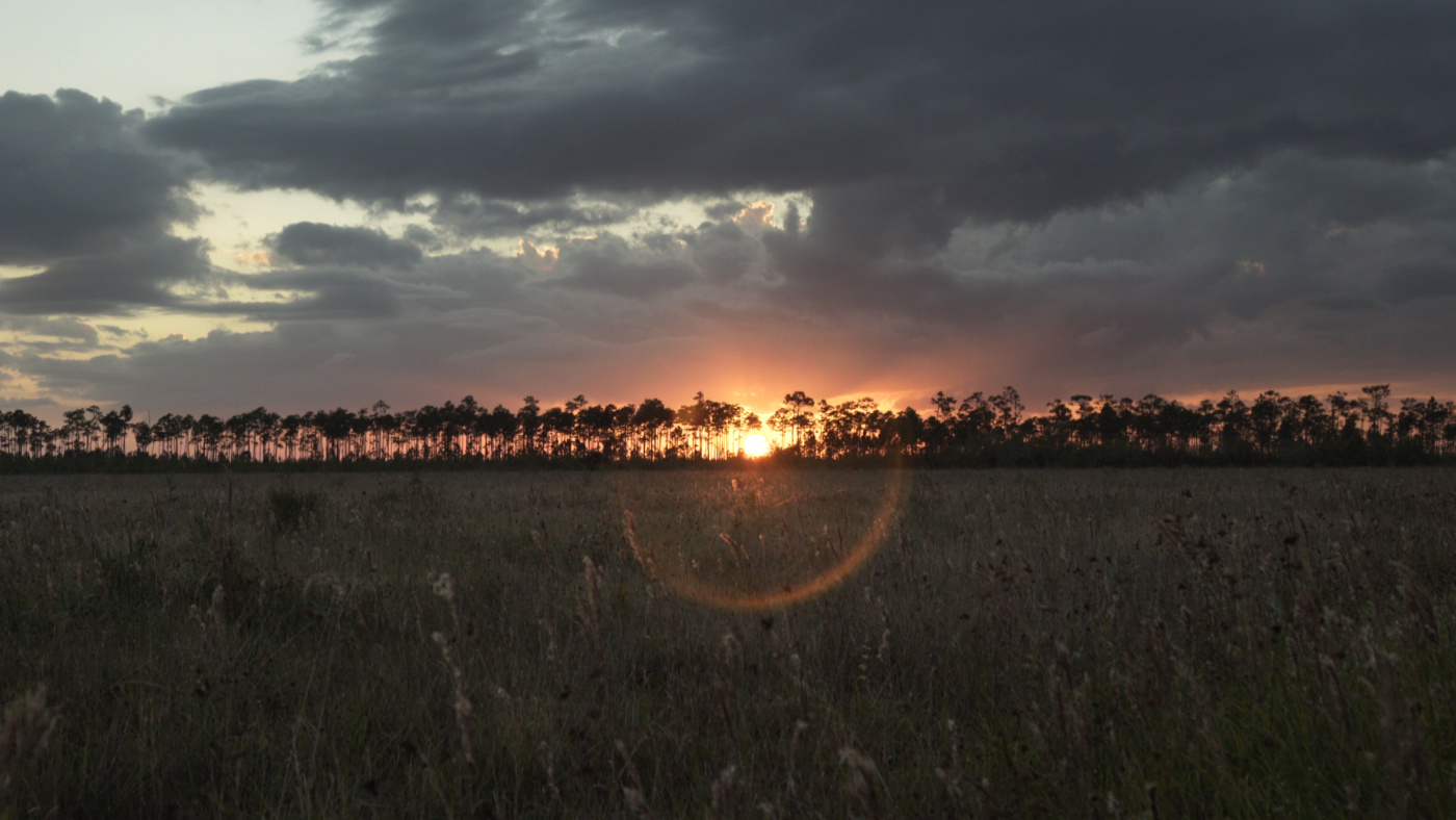sunrise or sunset over a field and under a cloudy sky.