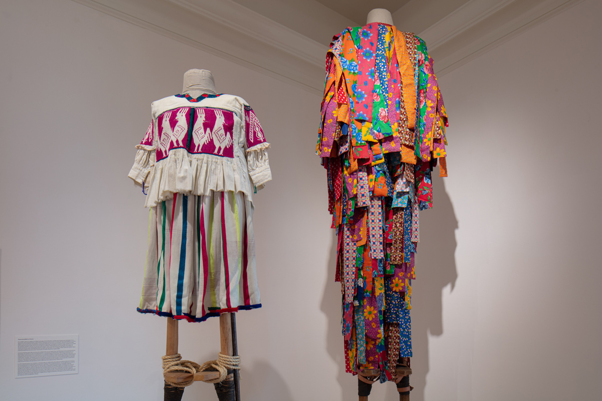 Laura Anderson Barbata: Transcommunality at Newcomb Art Museum, New ...