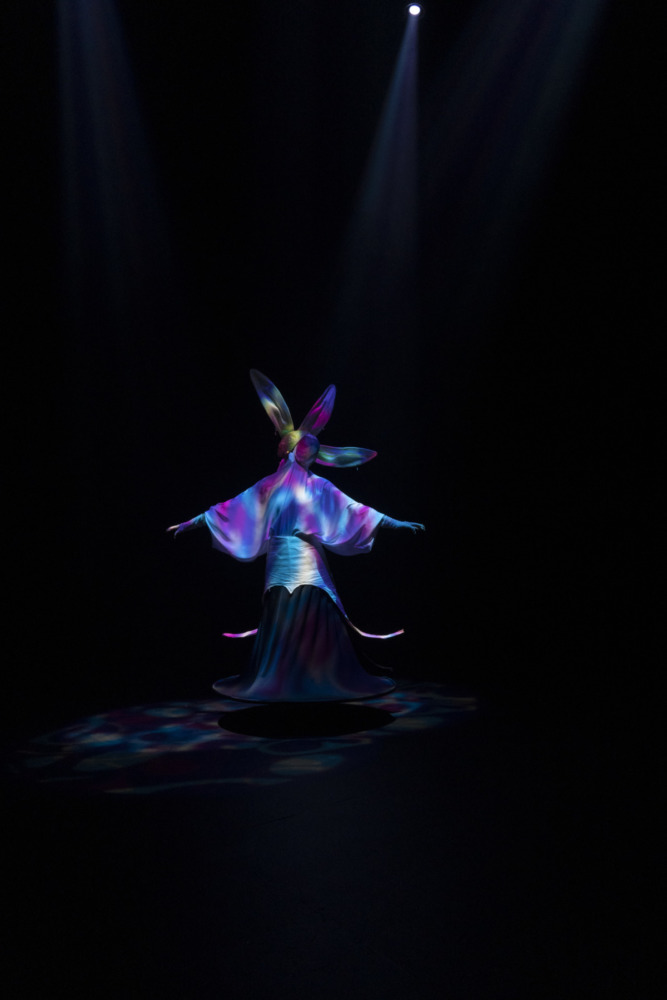 a dancer dressed as a orchid flower underneath colored light on a dark stage.