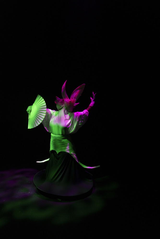 a dancer dressed as a orchid flower underneath colored light on a dark stage.