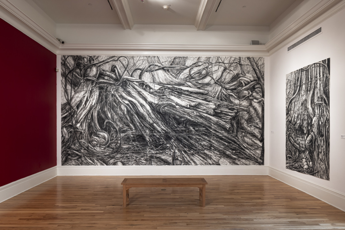 a large charcoal drawing of tree roots and other organic material. 