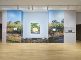 Rooted at the Dallas Museum of Art