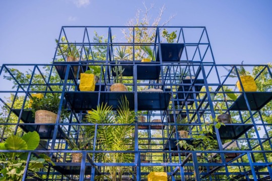 a large blue metal structure filled with small green plants in yellow pots