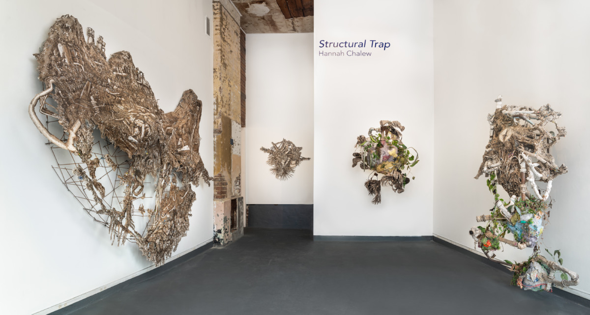 multiple objects of natural based material hang off the white wall of the gallery, with the text 'sculptural trap' on the top of the wall. 