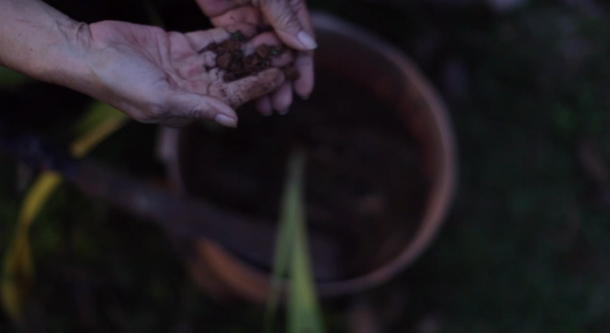a woman's hands hold earth from a planter pot which is below her hands.