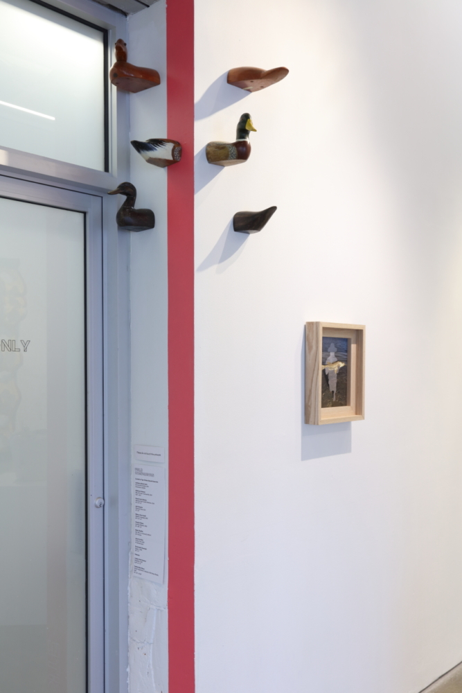 a white gallery wall with bisected wooden bait ducks near the ceiling