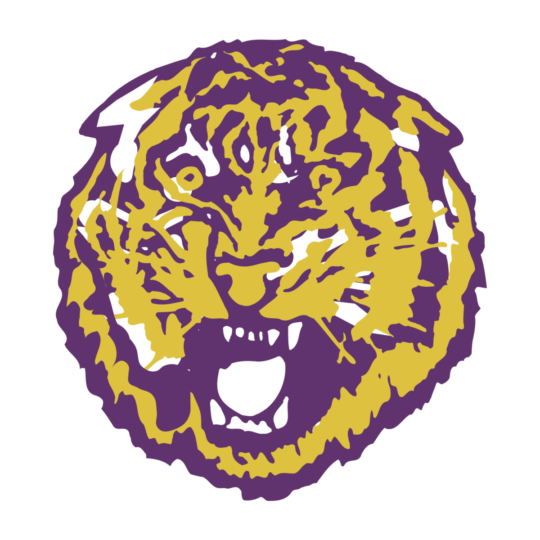 https://burnaway.org/wp-content/uploads/2022/05/lsu-tigers-1-logo-png-transparent-540x540.png