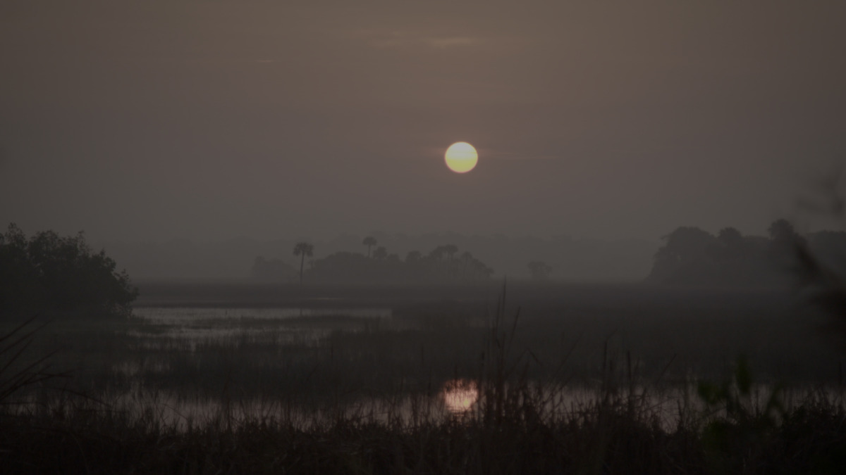 Video still of a dark grey and black moody marshland disrupted with a rising yellow sun. 