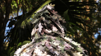 Katie Hargrave & Meredith Lynn: Exposing the Insidious Camouflage of Bad Outdoorsmen