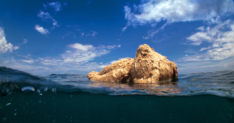 a yellow teddy bear floats upright in the middle of the ocean