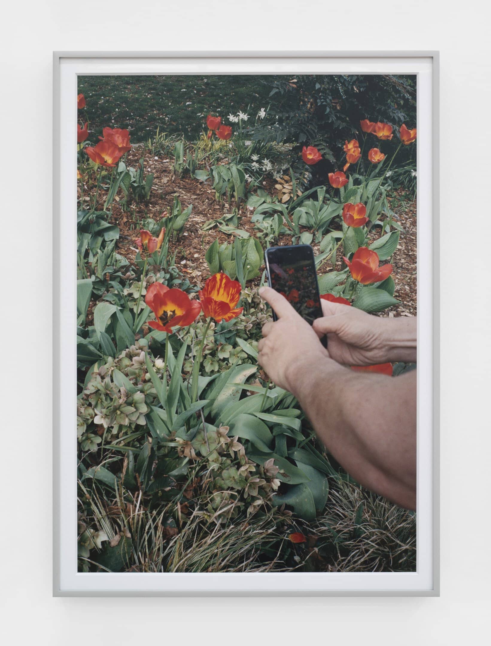 A Landscaped Longed For: The Garden as Disturbance at the Crisp-Ellert Art Museum, St. Augustine