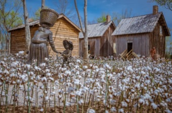 image of sculpture park with cotton fields and bronze statues