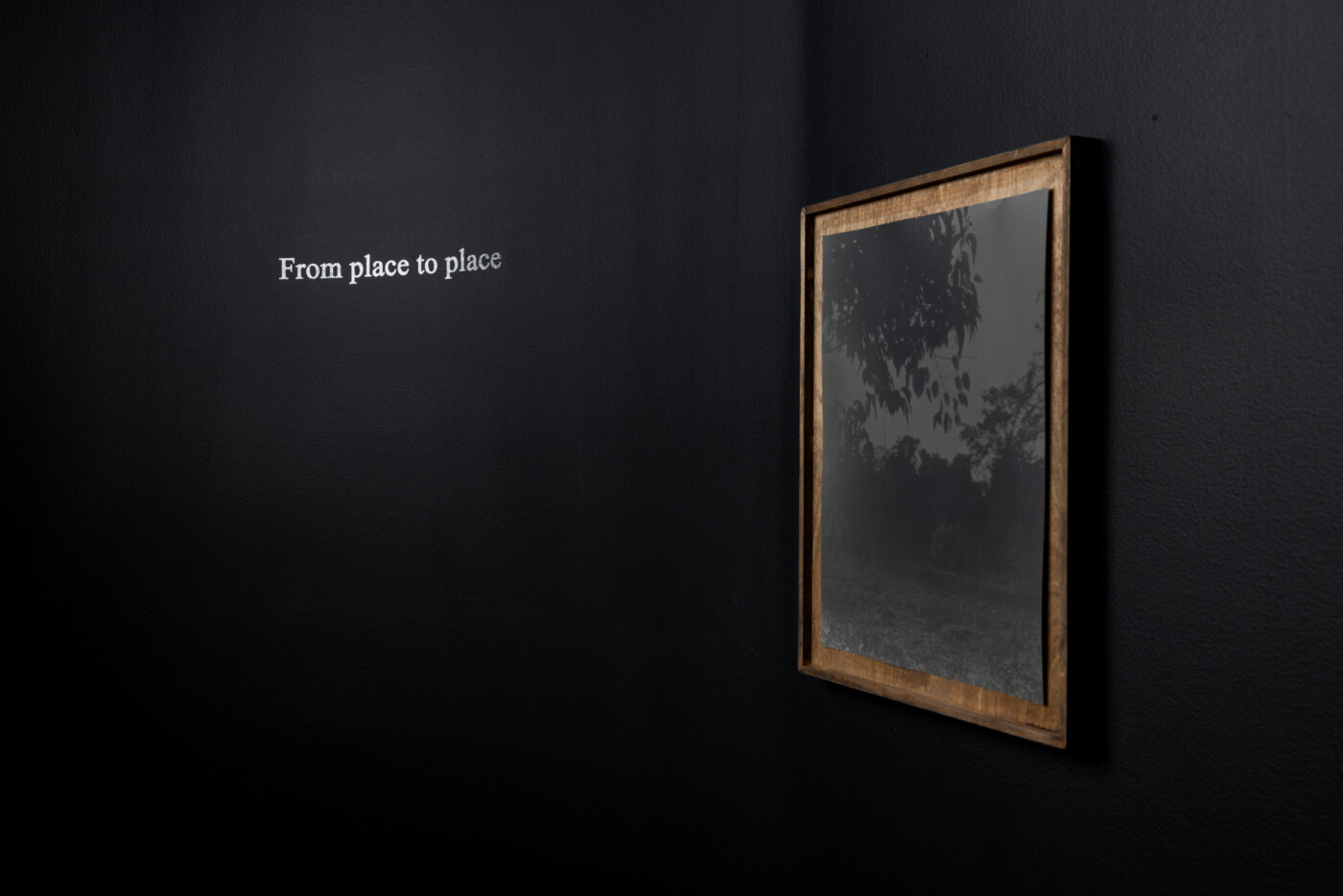 Installation view of Amanda Bradley's work in Of what surrounds me at The Patricia and Phillip Frost Art Museum at Florida International University, Miami. Photograph by Pedro Wazzan and courtesy of The Patricia and Phillip Frost Art Museum at Florida International University, Miami.