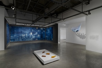 Andrea Chung: Between Too Late and Too Early at Museum of Contemporary Art, North Miami