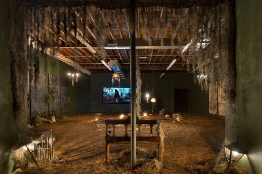 https://burnaway.org/wp-content/uploads/2025/07/LOCUST-PROJECTS-2-540x360.jpg