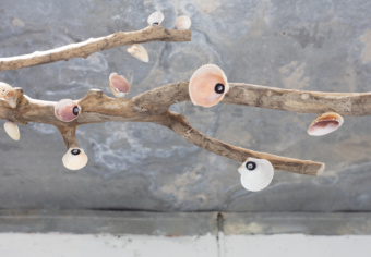 Installation view of Sterling Allen: TWEEN at Neue Welt, Nashville. Image by and courtesy of Neue Welt, Nashville.