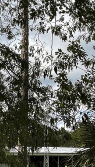  AIRIE (Artists in Residence in Everglades)