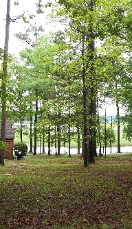 Pike School of Art