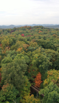 Bernheim
