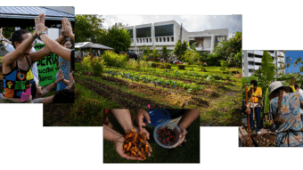 Seeds are Creativity in Action / Las Semillas son Creacción en Acción