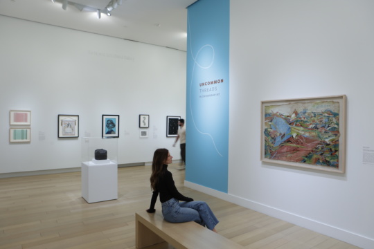 Uncommon Threads in Contemporary Art at the Arkansas Museum of Fine Arts, Little Rock