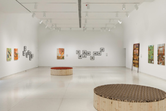 The Body is a Drum, The Voice a Song, The Soul a Fire at the Knoxville Museum of Art, Knoxville