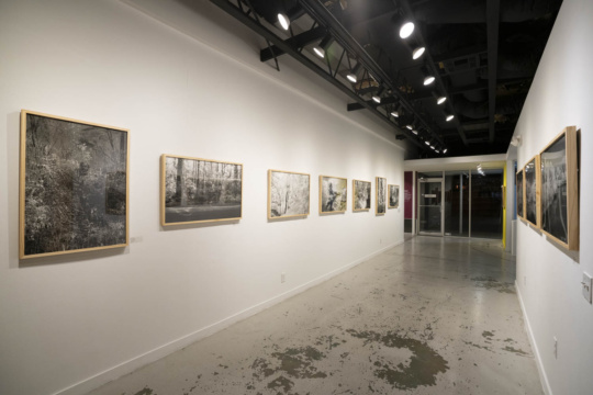 Jamie Robertson’s soft heat at Houston Center for Photography, Houston